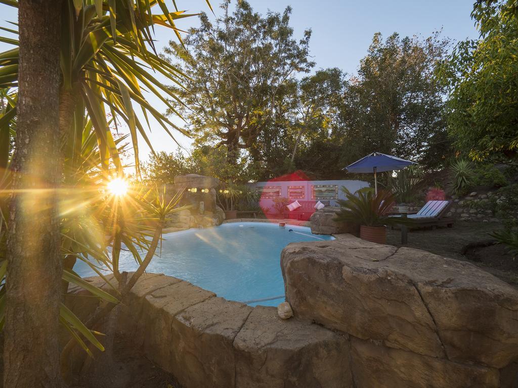 Blue Oyster Bed And Breakfast Knysna Luaran gambar