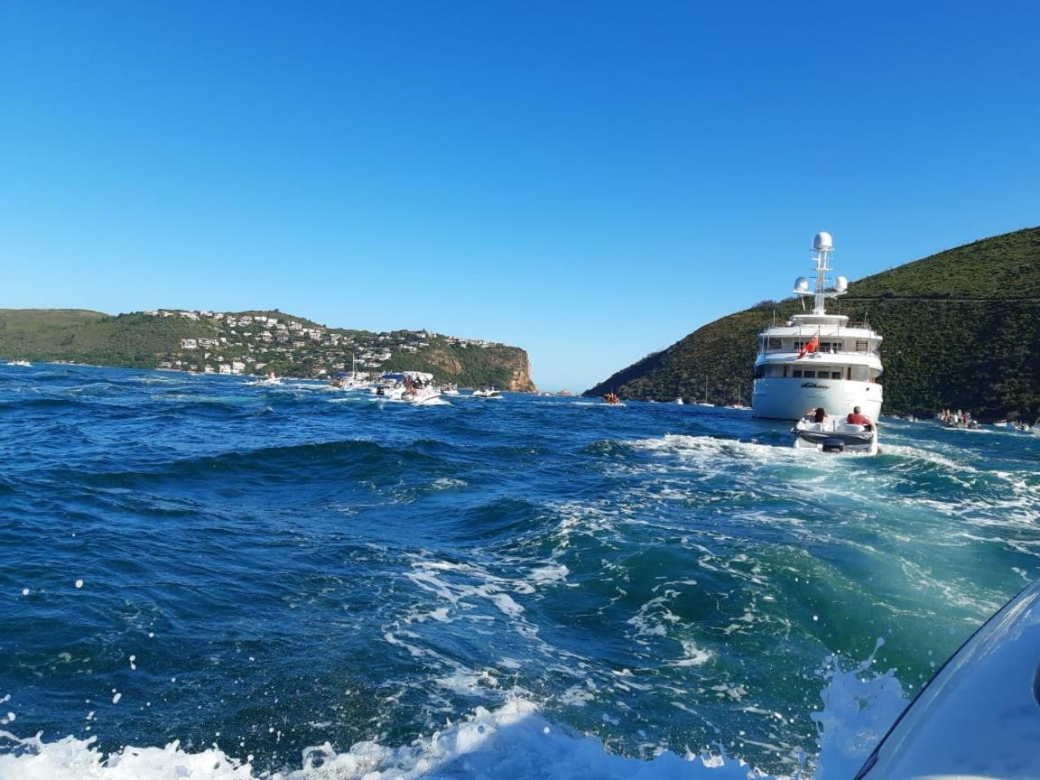 Blue Oyster Bed And Breakfast Knysna Luaran gambar