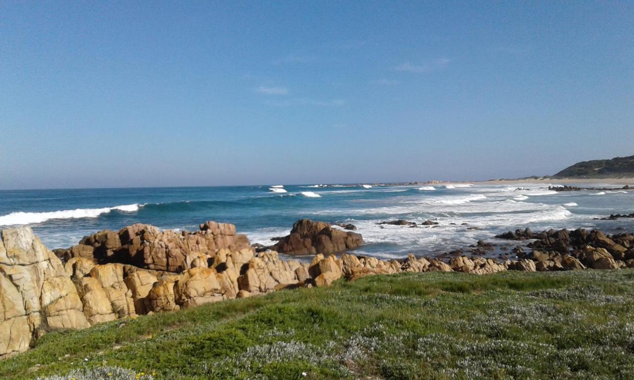 Blue Oyster Bed And Breakfast Knysna Luaran gambar